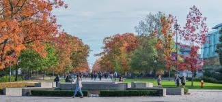 UBC Campus in fall